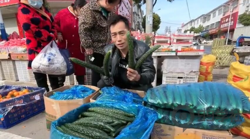卖蔬菜的技巧和策略：小伙卖黄瓜月入万元的获客技巧-玖儿的学习笔记
