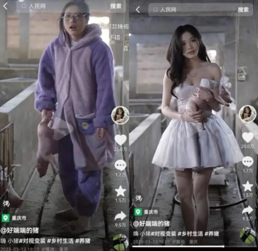 看懂好端端的猪爆火的三大核心,你的账号粉丝也能翻10倍!-玖儿的学习笔记