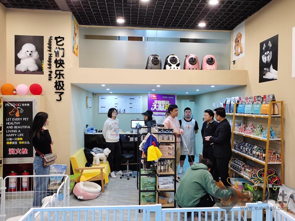 新手怎么开宠物店？美女引流拓客的模式太牛了-玖儿的学习笔记