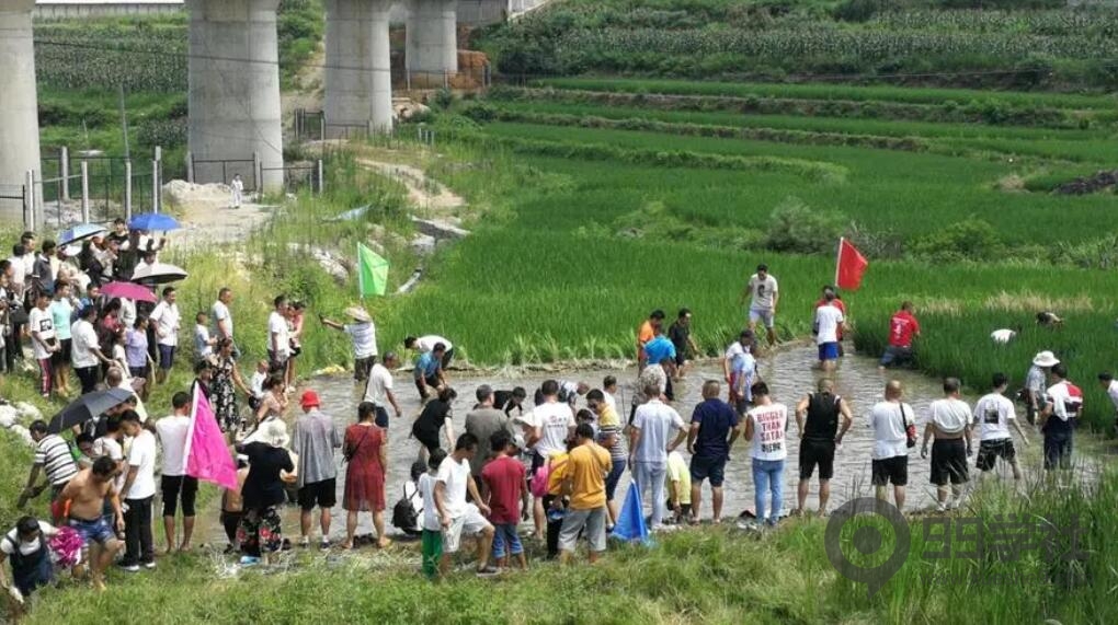 鱼贩中的王者：一条鱼只卖1元竟然赚的盆满钵满！-玖儿的学习笔记