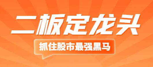 抓住股市狂涨！揭示“二板定龙头”交易策略的成功秘诀-玖儿的学习笔记