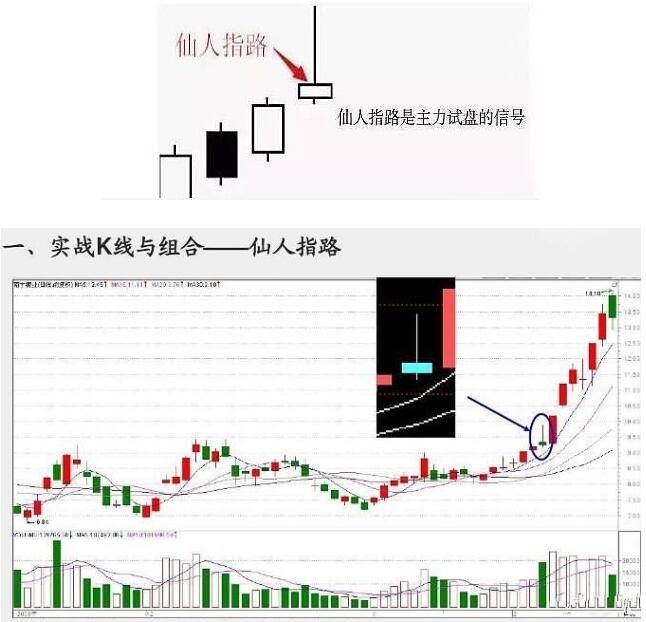 图片[2]-从业十二年的操盘手带你详细剖析经典战法“仙人指路”（附图解）-玖儿的学习笔记