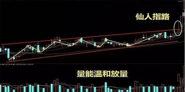 图片[4]-从业十二年的操盘手带你详细剖析经典战法“仙人指路”（附图解）-玖儿的学习笔记