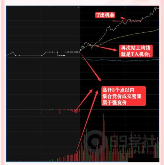 图片[2]-揭秘T+0操作技巧：轻松解套个股的绝活，让你从简单练到极致-玖儿的学习笔记