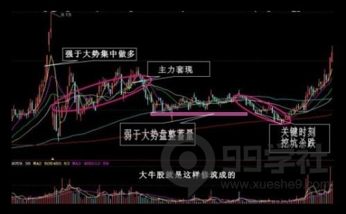 股票K线图解析：绿色十字星含义及分析方法-玖儿的学习笔记