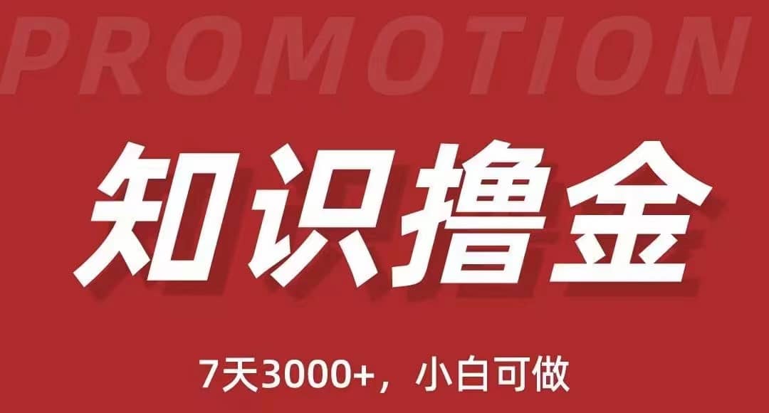 抖音知识撸金项目：执行力强当天见收益(教程 资料)-玖儿的学习笔记