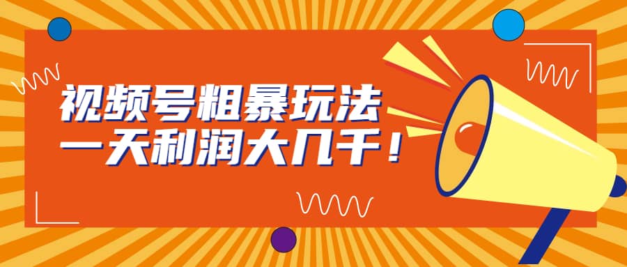 视频号粗暴玩法，一天利润大几千-玖儿的学习笔记