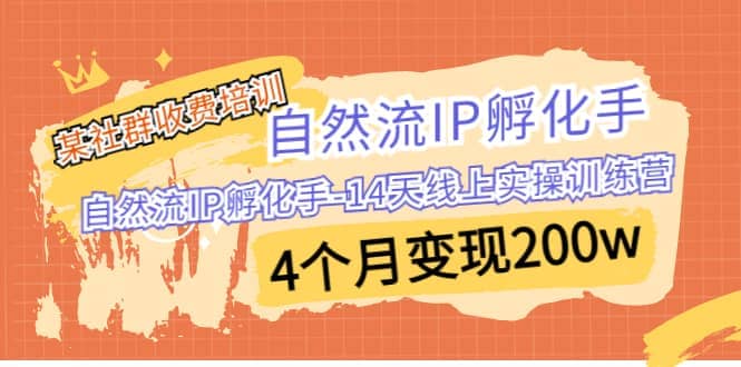 某社群收费培训：自然流IP 孵化手-14天线上实操训练营 4个月变现200w-玖儿的学习笔记