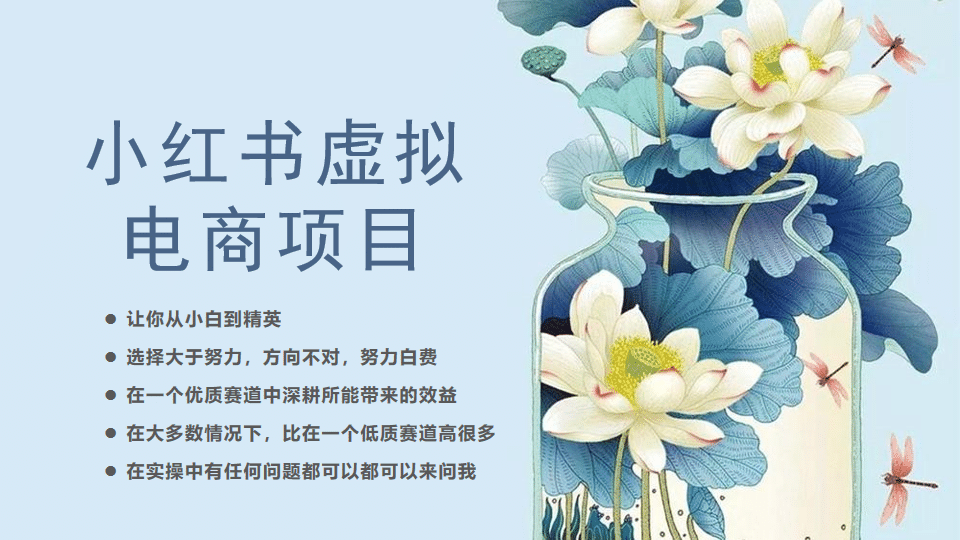 小红书虚拟电商从0到1，让你从小白到精英（20节实操课程）-玖儿的学习笔记