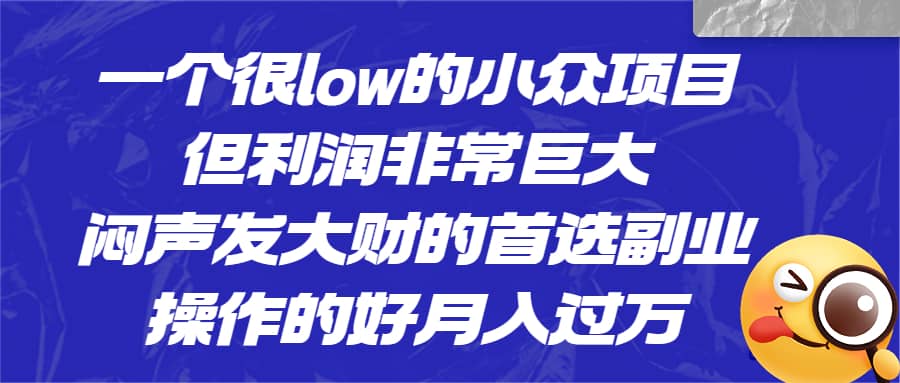 一个很low的小众项目，但利润非常巨大，闷声发大财的首选副业，月入过万-玖儿的学习笔记