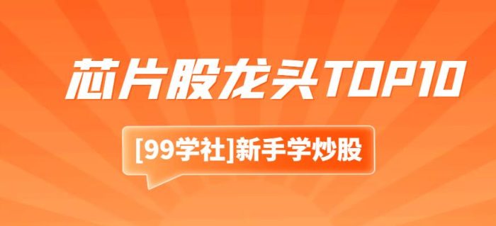 2023年中国芯片股龙头企业排名TOP10榜单(包含45家细分领域龙头)-玖儿的学习笔记