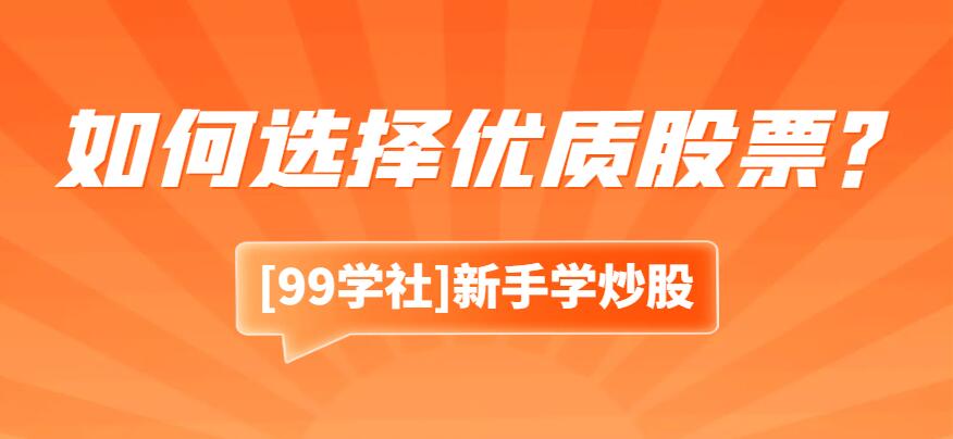 如何选择优质股票？关键指标揭秘，长期稳健投资！-玖儿的学习笔记