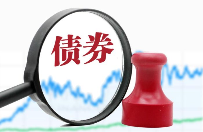 新手买债券时要注意什么?什么债券适合长期投资?-玖儿的学习笔记