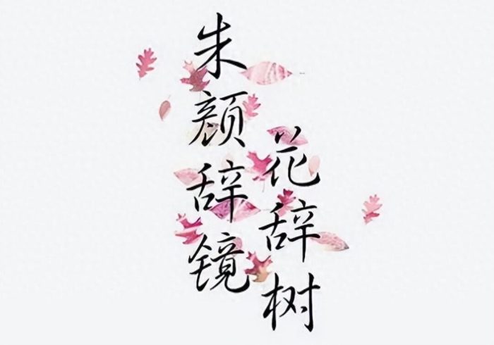 选择潜力股的秘诀:揭示好公司的三大关键-玖儿的学习笔记