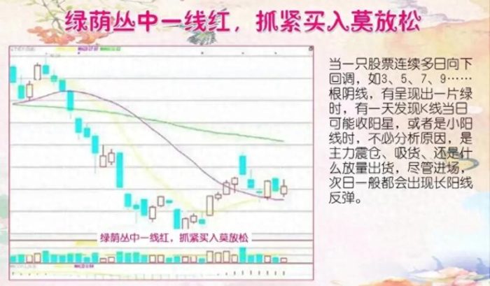 提升投资技巧!炒股新手必知的五句短线口诀-玖儿的学习笔记