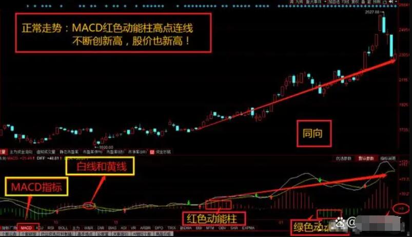 图片[10]-操盘高手亲授：MACD指标完全攻略，学会MACD从这里开始！-玖儿的学习笔记
