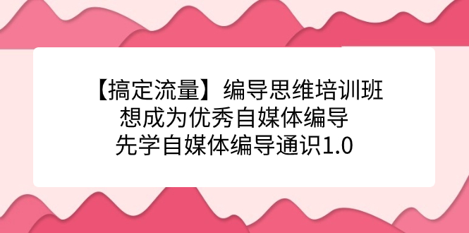 【搞定流量】编导思维培训班，想成为优秀自媒体编导先学自媒体编导通识1.0-玖儿的学习笔记