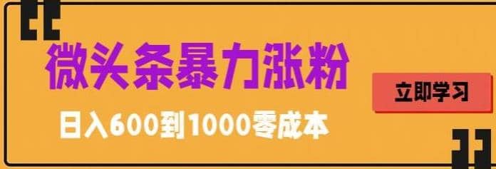 微头条暴力涨粉技巧搬运文案就能涨几万粉丝，简单0成本，日赚600-玖儿的学习笔记