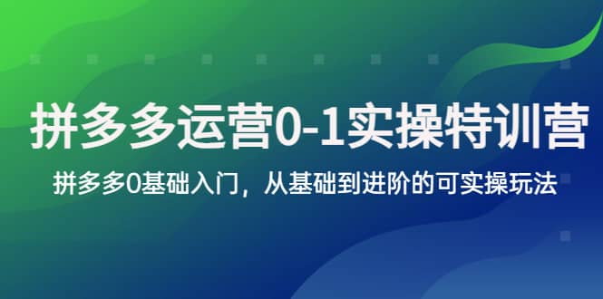拼多多-运营0-1实操训练营，拼多多0基础入门，从基础到进阶的可实操玩法-玖儿的学习笔记