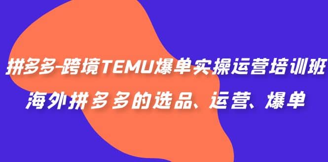 拼多多-跨境TEMU爆单实操运营培训班，海外拼多多的选品、运营、爆单-玖儿的学习笔记