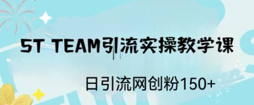 ST TEAM引流实操课，日引流网创粉100-玖儿的学习笔记