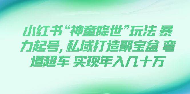 小红书“神童降世”玩法 暴力起号,私域打造聚宝盆 弯道超车 实现年入几十万-玖儿的学习笔记
