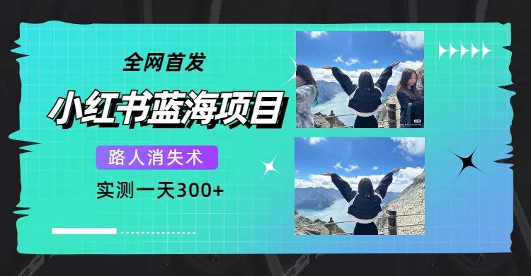全网首发，小红书蓝海项目，路人消失术，实测一天300 （教程 工具）-玖儿的学习笔记
