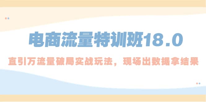 电商流量特训班18.0，直引万流量破局实操玩法，现场出数据拿结果-玖儿的学习笔记