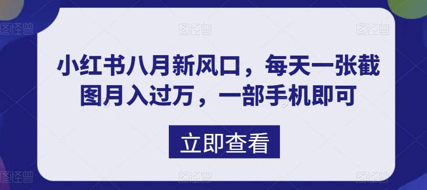 八月新风口，小红书虚拟项目一天收入1000 ，实战揭秘-玖儿的学习笔记