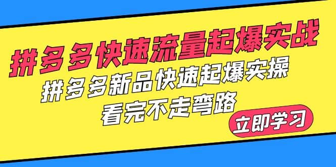 拼多多-快速流量起爆实战，拼多多新品快速起爆实操，看完不走弯路-玖儿的学习笔记