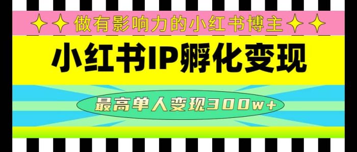 某收费培训-小红书IP孵化变现:做有影响力的小红书博主-玖儿的学习笔记