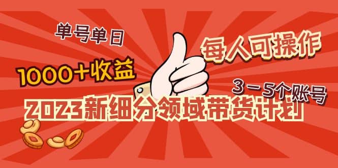 2023新细分领域带货计划：单号单日1000 收益不难，每人可操作3-5个账号-玖儿的学习笔记