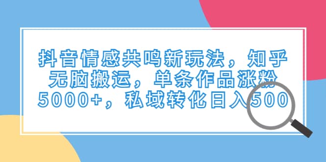 抖音情感共鸣新玩法，知乎无脑搬运，单条作品涨粉5000 ，私域转化日入500-玖儿的学习笔记