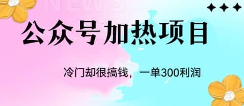 冷门公众号加热项目，一单利润300-玖儿的学习笔记