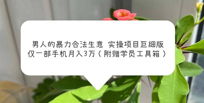 男人的暴力合法生意实操项目巨细版：仅一部手机月入3w（附赠学员工具箱）-玖儿的学习笔记