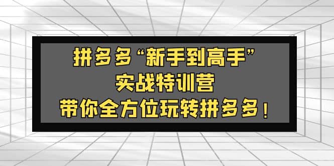 拼多多“新手到高手”实战特训营：带你全方位玩转拼多多-玖儿的学习笔记