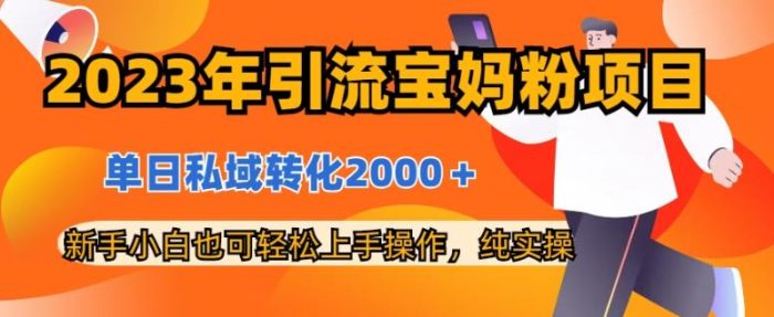 2023年引流宝妈粉项目，单日私域转化2000＋，新手小白也可轻松上手操作，纯实操-玖儿的学习笔记
