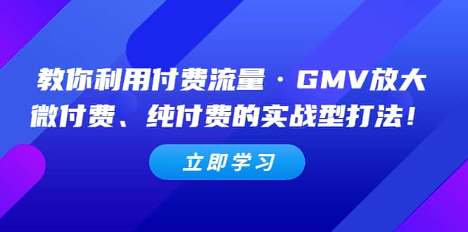 教你利用付费流量·GMV放大，微付费、纯付费的实战型打法-玖儿的学习笔记