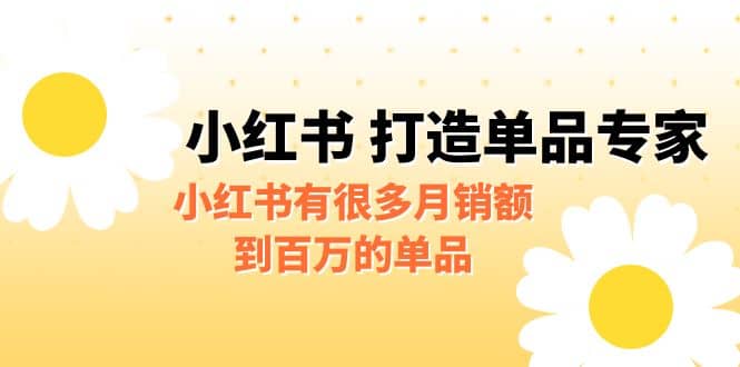某公众号付费文章《小红书 打造单品专家》小红书有很多月销额到百万的单品-玖儿的学习笔记