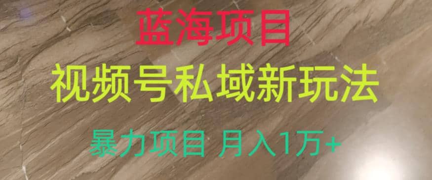 蓝海项目，视频号私域新玩法，暴力项目月入1万 【揭秘】-玖儿的学习笔记