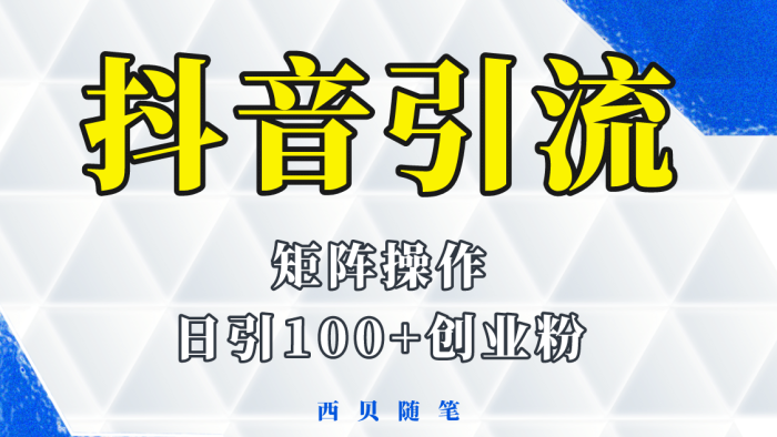 抖音引流术,矩阵操作,一天能引100多创业粉-玖儿的学习笔记