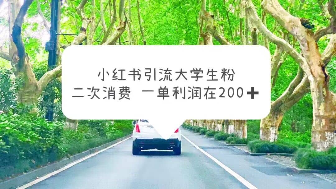 小红书引流大学生粉，变现项目，一单利润在200 （教程 资源）-玖儿的学习笔记