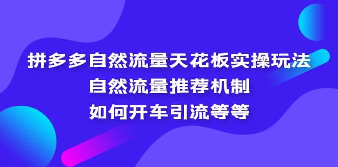 拼多多自然流量天花板实操玩法：自然流量推荐机制，如何开车引流等等-玖儿的学习笔记