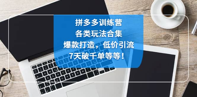 拼多多训练营：各玩法合集，爆款打造，低价引流，7天破千单等等-玖儿的学习笔记