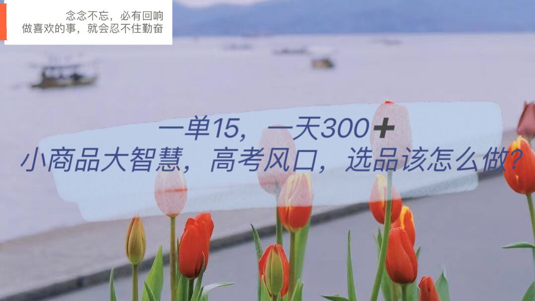 一单15，一天300 ，小商品大智慧，高考风口，选品该怎么布局-玖儿的学习笔记