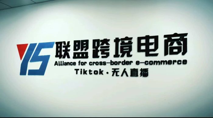 Tiktok无人直播,不出镜不剪辑不拍摄不发货无售后的跨境短视频玩法-玖儿的学习笔记