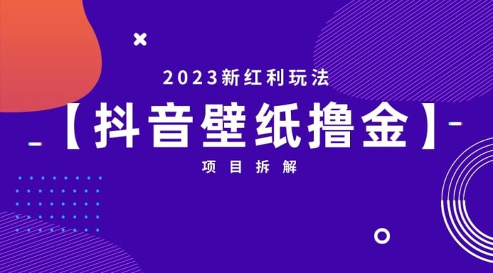 2023新红利玩法：抖音壁纸撸金项目-玖儿的学习笔记