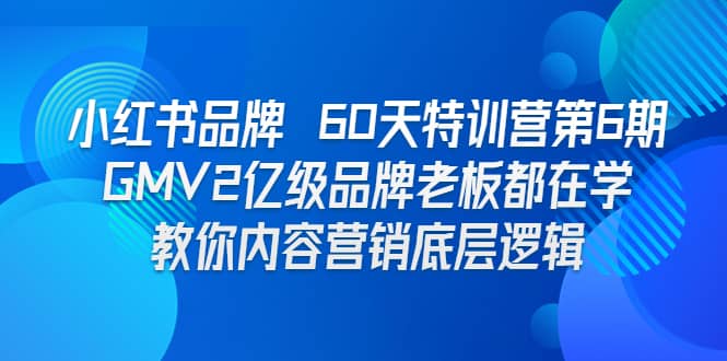 小红书品牌 60天特训营第6期 GMV2亿级品牌老板都在学 教你内容营销底层逻辑-玖儿的学习笔记