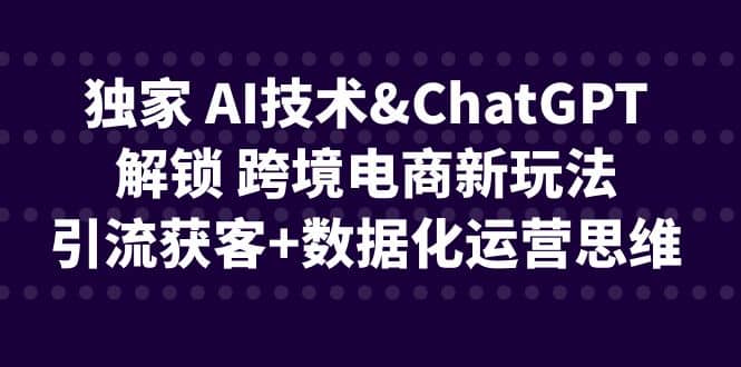 独家 AI技术ChatGPT解锁 跨境电商新玩法，引流获客 数据化运营思维-玖儿的学习笔记