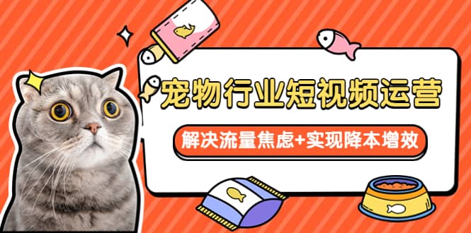 宠物/行业短视频运营 流量增长的一层窗户纸 解决流量焦虑 实现降本增效-玖儿的学习笔记